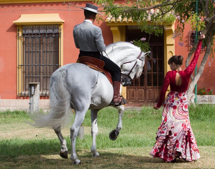 Spanish Horse Ranch & Show - Cartagena, Spain Shore Excursions ...