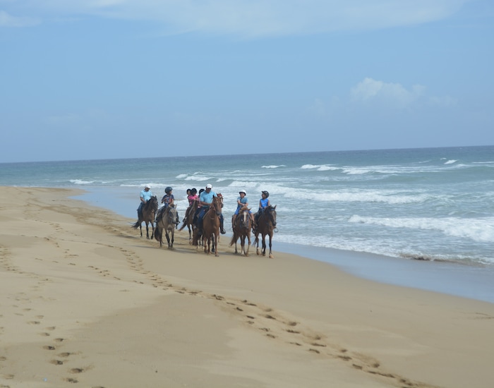 Beach Horseback Riding - DOP Shore Excursions | Carnival Cruise Line