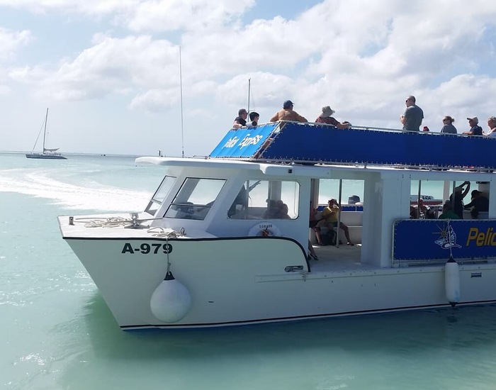 Bubble TourMalmok Cove Snorkel Cruise with Drinks ARB Shore