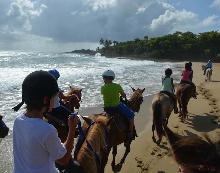 Beach Horseback Riding - DOP Shore Excursions | Carnival Cruise Line