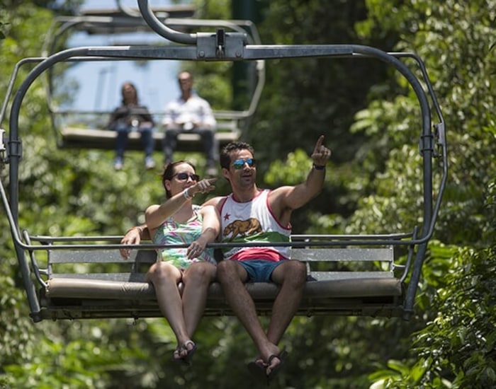 Ragga Ride Bobsled, Ragga Ride, Mystic Mountain & Dunns River - Ocho Rios, Jamaica ...