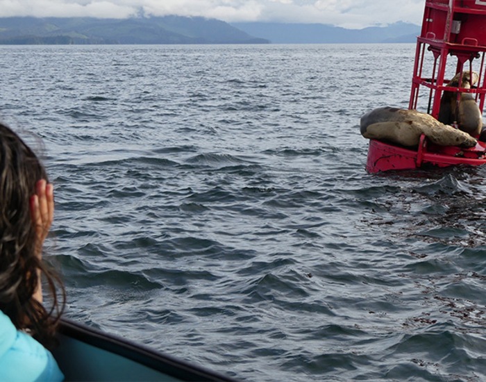 Ocean Raft Adventure Ocean Raft Adventure - Icy Strait Point, AK Shore Excursions | Carnival ...