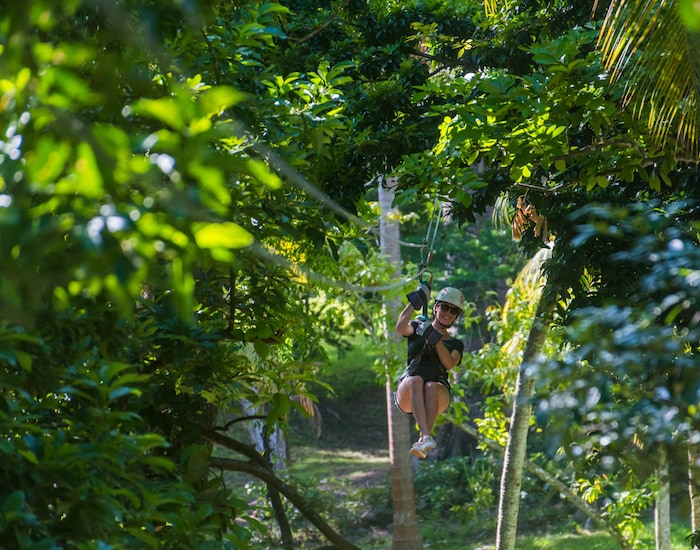 Ocho Rios Zip Lining Dunn's River Falls & Zipline Adventure - Ocho Rios, Jamaica Shore ...