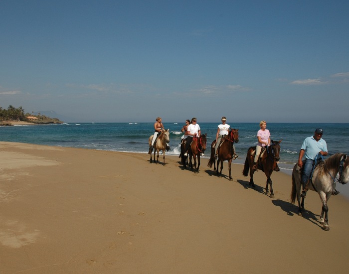 Beach Horseback Riding - DOP Shore Excursions | Carnival Cruise Line