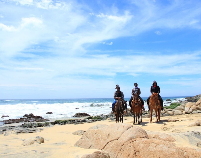 Horseback Riding on the Beach and through Desert - CSL Shore Excursions ...