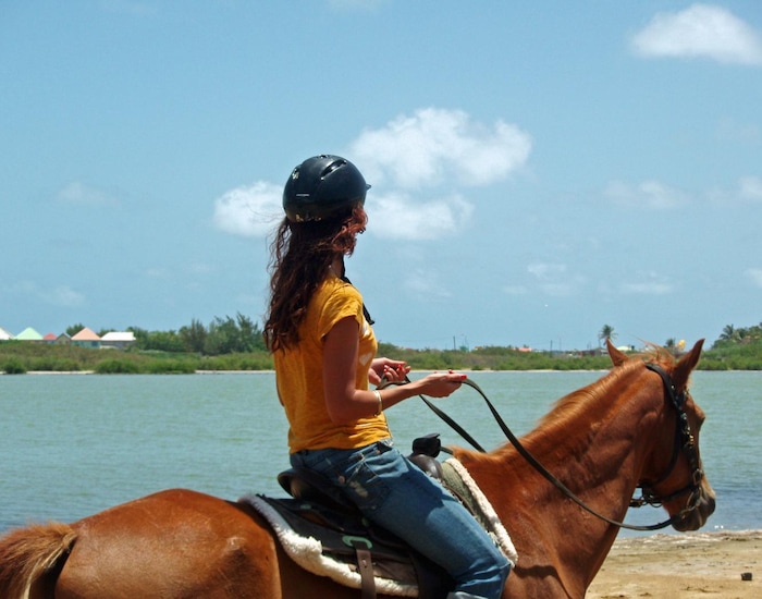 carnival cruise excursions horseback riding