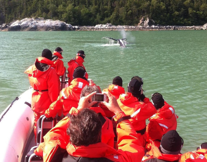 Ocean Raft Adventure Ocean Raft Wildlife Adventure - SKY Shore Excursions | Carnival Cruise Line