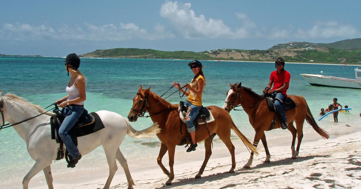 St. Martin Luxury Villa Rentals with Gym St. Martin Luxury Villa Rentals with Gym