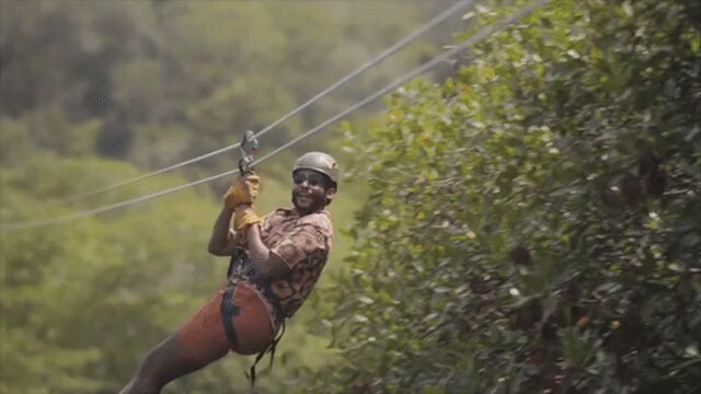 guest zip lines through the trees