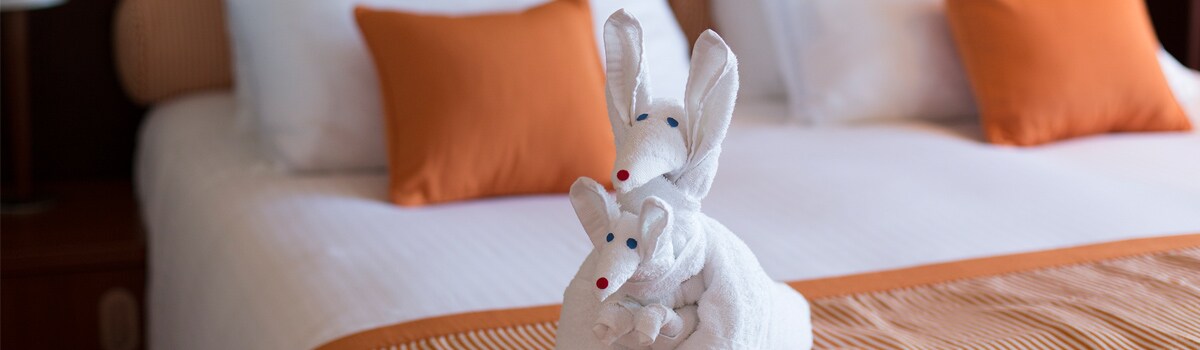 towel animal in stateroom