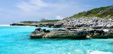 coral reefs off of the bahamas island