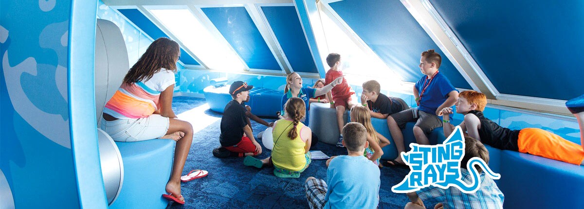 Camp Ocean | Onboard Camp for Kids | Carnival Cruise Line